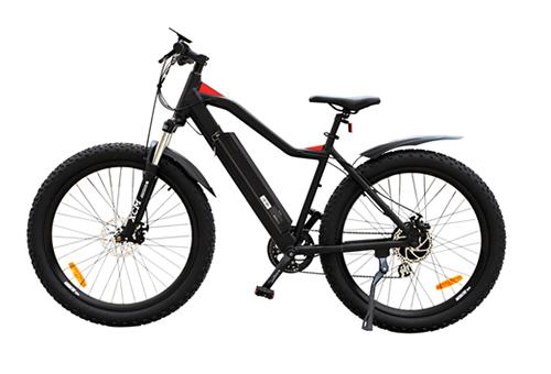 Electric bike lithium battery charging and maintenance