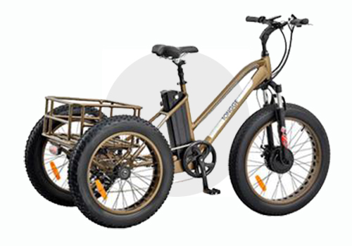 TG-T002 Fat Tire Electric Tricycle