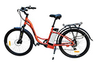 TG-CM002 City Commuter Electric Bike