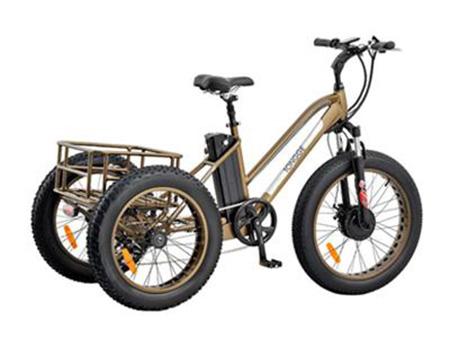 TG-T002 Fat Tire Electric Tricycle